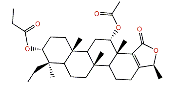 Phyllolactone D